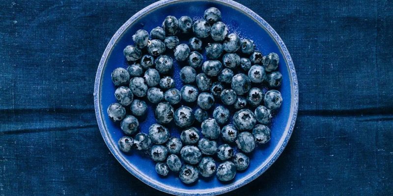 3 P’s OF GUT HEALTH: ADDING (POLY)PHENOLS INTO THE MIX img 4526